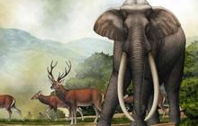 Bukan Mammoth, Temuan Fosil Gajah Purba Berusia 300 Juta Tahun Ternyata Milik Spesies Misterius yang Sudah Punah