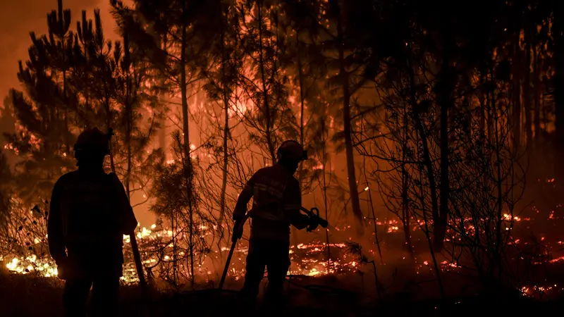 Kerahkan 1.000 Petugas Damkar, Begini Dahsyatnya Kebakaran Hutan Portugal