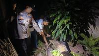 Suara Kucing Memecah Malam, Ternyata Bayi Perempuan Dibuang ke Septic Tank di Tanggamus Lampung