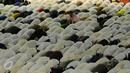 Puluhan ribu peserta demo 2 Desember menunaikan ibadah salat subuh berjamaah di Masjid Istiqlal, Jakarta, Jumat (2/12). Mereka kebanyakan telah tiba di Masjid Istiqlal sejak malam hari. (Liputan6.com/Gempur M Surya)