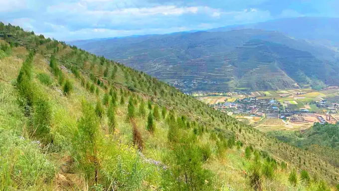 Hari Bumi