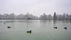 Bebek berenang saat salju turun di Taman Retiro di pusat kota Madrid (7/1/2021). Sebuah peringatan telah dikeluarkan di seluruh negeri karena badai Filomena yang menyebabkan penurunan suhu dan hujan salju yang besar di seluruh Spanyol. (AFP/Gabriel Bouys)