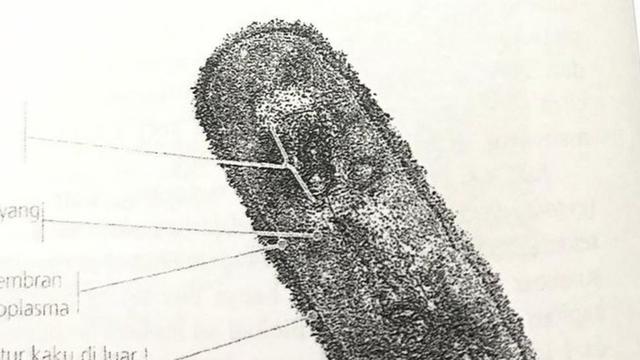 6 Soal Ujian Bergambar Nyeleneh Ini Tidak Jelas, Bikin Siswa Jadi Bingung