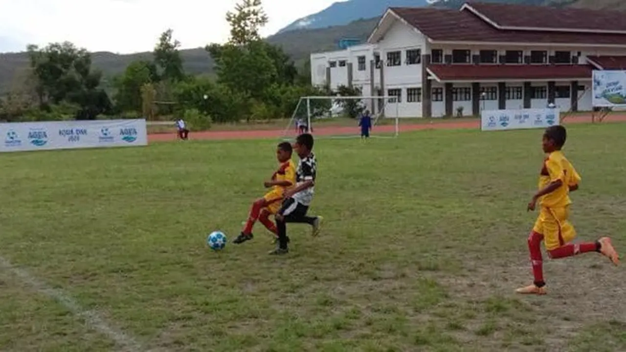 Danone Nations Cup
