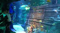 Mengeksplorasi Dunia Bawah Laut Bertema Lego di Sea Life Malaysia