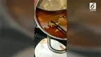 Seorang wanita hamil menemukan tikus mati dalam makanannya pada sebuah restoran di China. Pihak restoran kemudian menawarkan uang untuk menggugurkan kandungannya.