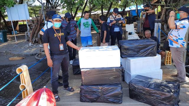 KKP melepasliarkan 21 ribu Benih Bening Lobster (BBL) hasil sitaan di Kawasan Konservasi Perairan Bangsring Banyuwangi. (Dok KKP)