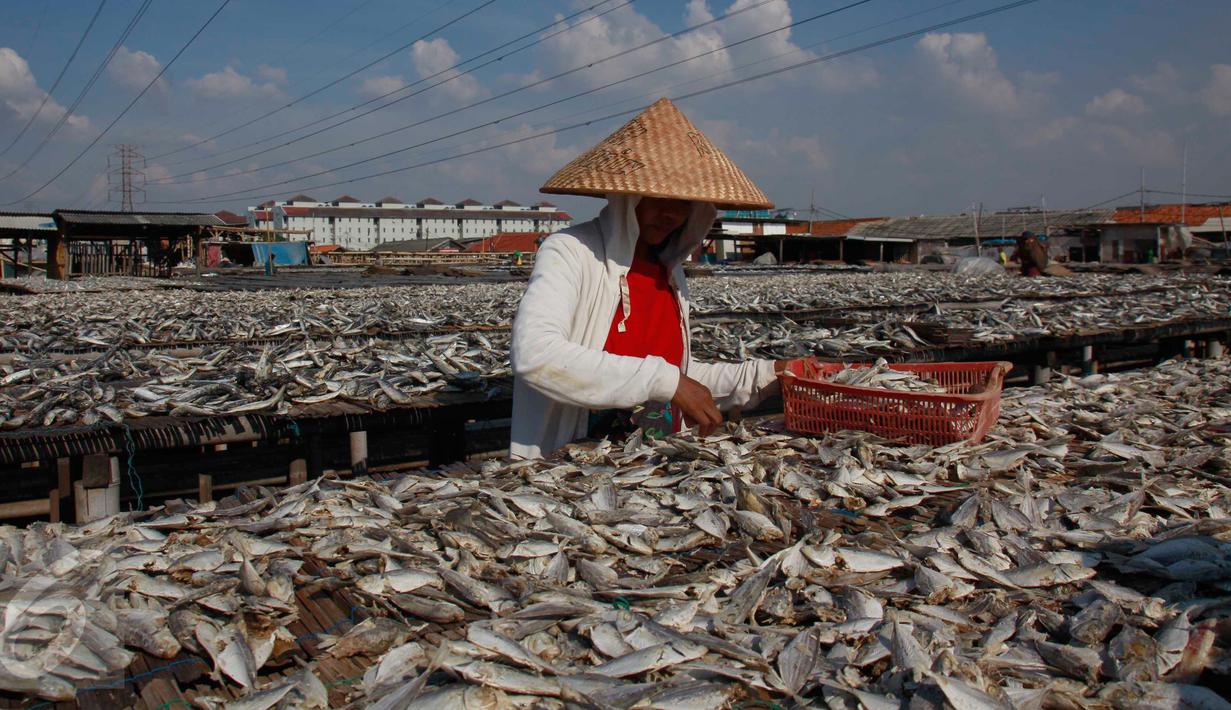 Cuaca Tak Menentu, Produksi Ikan Asin Terhambat - Foto Liputan6.com