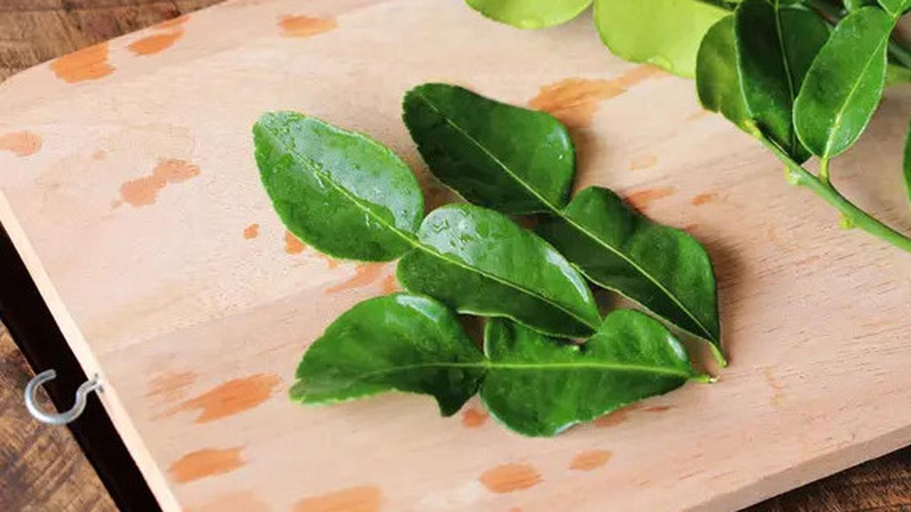 Cara Menyimpan Daun Jeruk Tidak Cepat Hitam dan Busuk