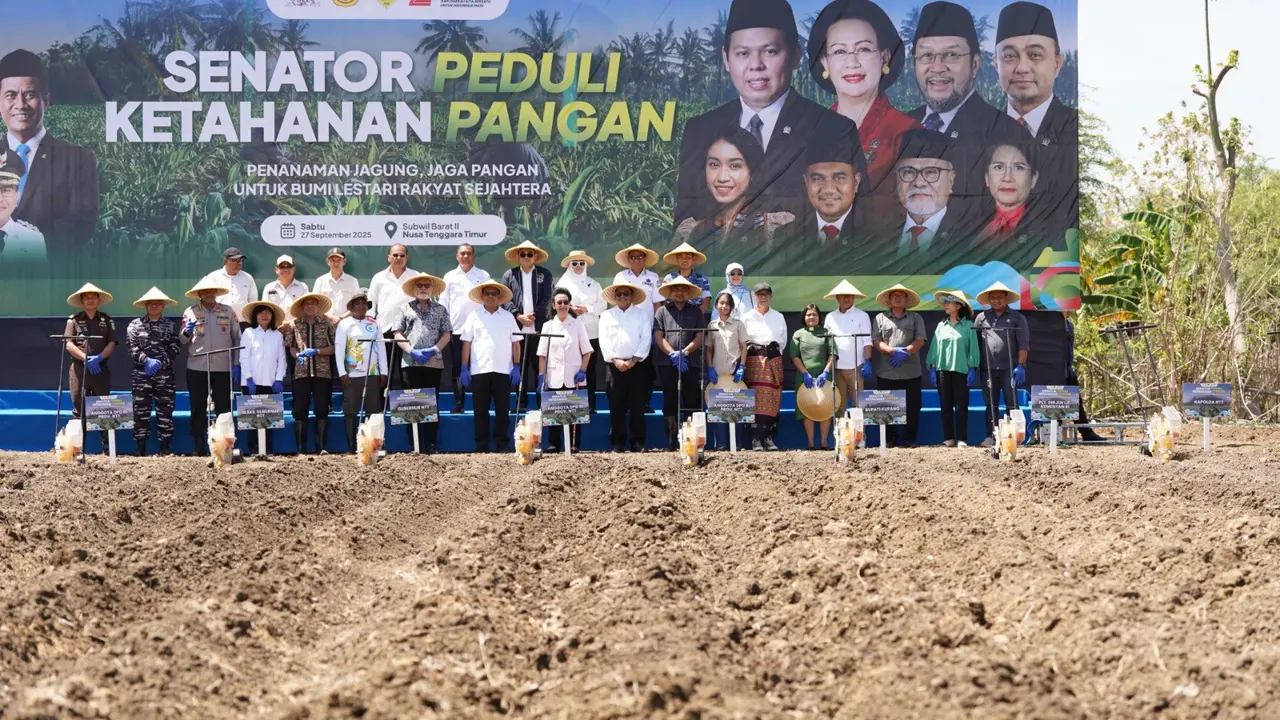 Kementerian Pertanian (Kementan) dan Dewan Perwakilan Daerah (DPD) RI melakukan penanaman jagung serentak di 4 provinsi, yaitu Provinsi Nusa Tenggara Timur, Provinsi Bengkulu, Provinsi Sulawesi Selatan, dan Provinsi Papua Tengah (Istimewa)