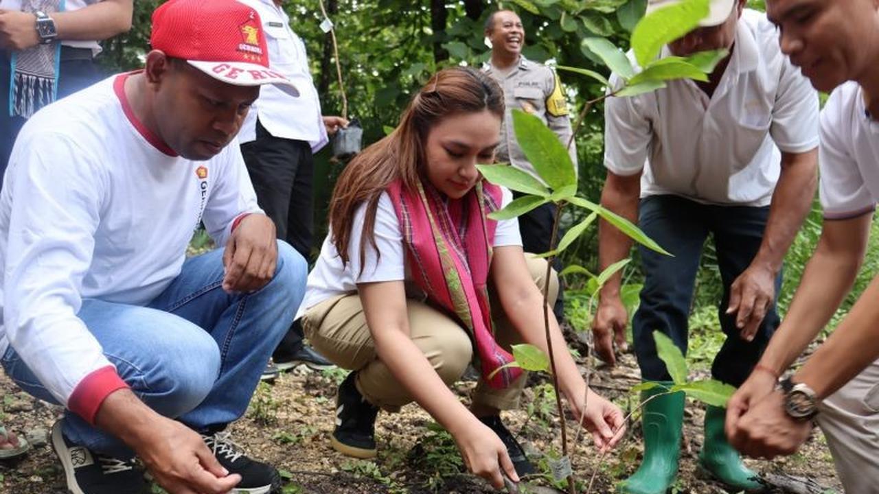 Penanaman 1.000 Pohon Produktif: Pemkot Kupang dan Gerindra Bersinergi untuk Lingkungan dan Ekonomi
