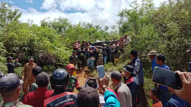Pakai Umpan Kambing, Harimau Sumatra Terperangkap di Box Trap