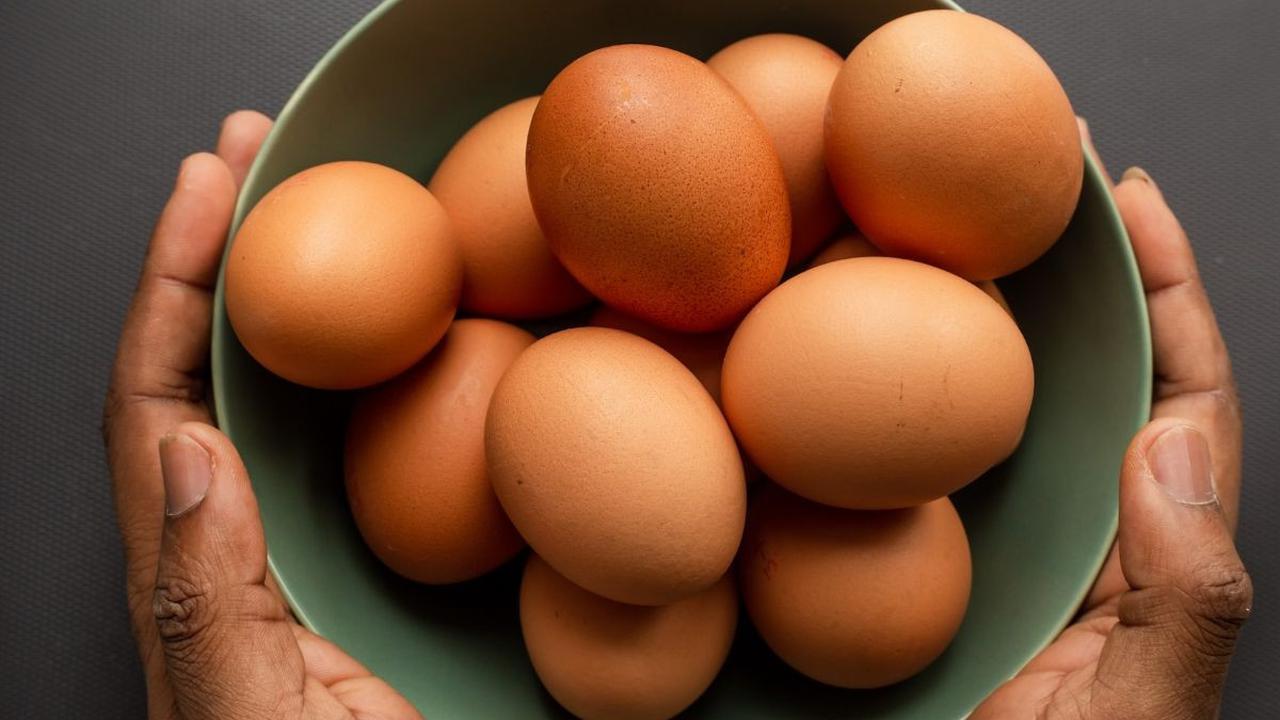 9. Telur