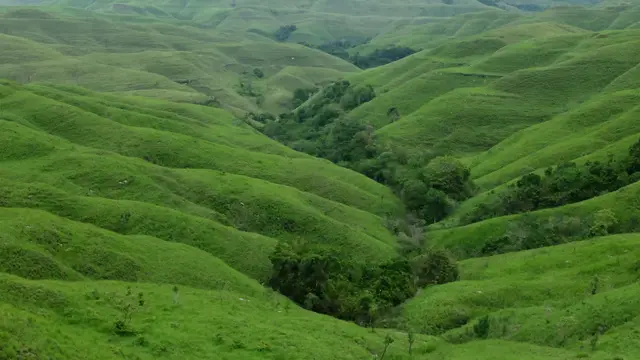 6 Destinasi Sabana di Indonesia yang Memukau