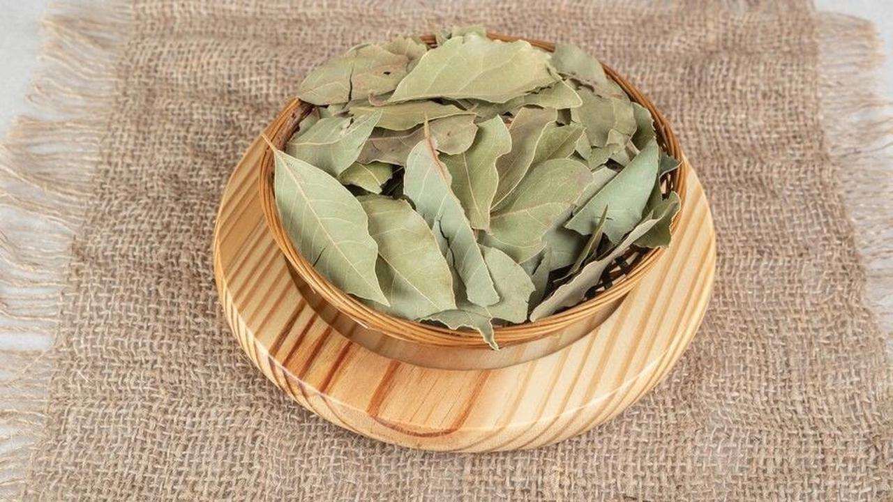2 Tips Simpel Cara Menyimpan Daun Salam agar Tetap Hijau Hingga Satu Bulan