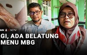 Lagi-lagi makanan bergizi gratis bermasalah. Di salah satu SMP Negeri di Kabupaten Bekasi, ditemukan belatung di salah satu wadah MBG.