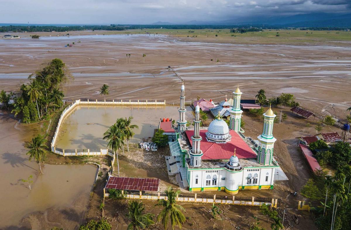 FOTO: Ribuan Hektare Sawah Terkubur Lumpur, Upaya Pemulihan Dikebut Pemerintah