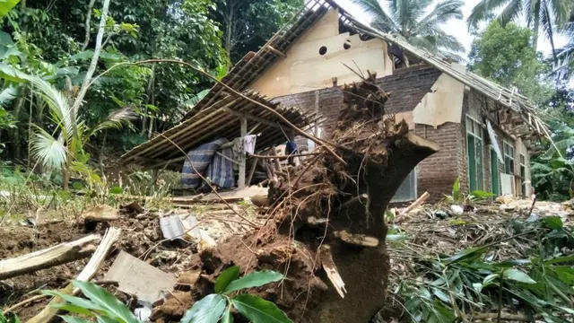 Rumah rusak tertimpa pohon tumbang. (Foto: Liputan6.com/BPBD Cilacap/Muhamad Ridlo)