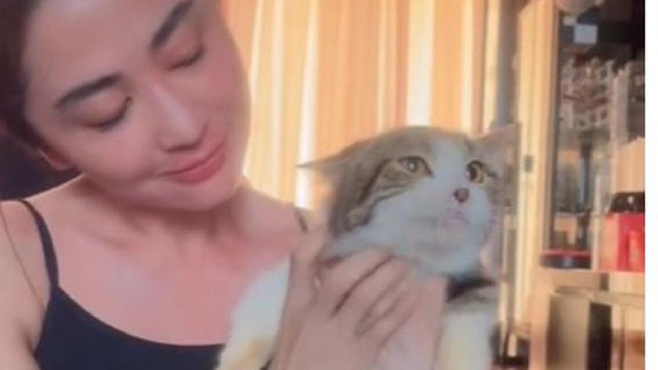 Tersentuh! Ini 6 Momen Dewi Perssik Rawat Kucing Eko Patrio Pasca Rumah Dijarah