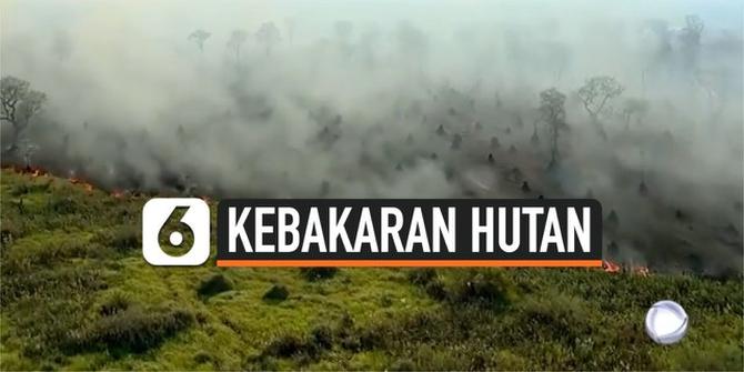 VIDEO: Kebakaran Hebat Hanguskan 120 Ribu Lahan di Brasil