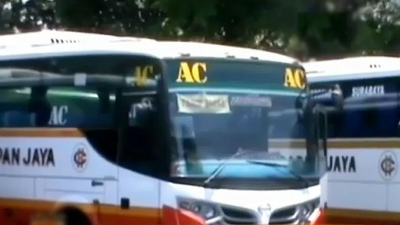 Sopir-Bus-Maut-Harapan-Jaya