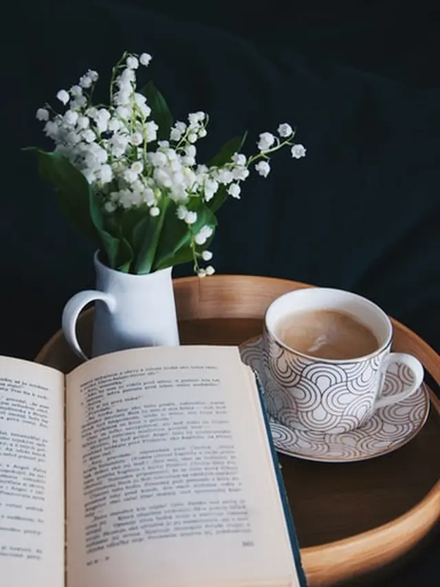 Kutipan Novel Anna Karenina Bagian II