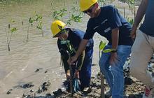 PNM Gandeng PT Waskita Beton Precast Tanam Mangrove dan Beri Akses Air Bersih