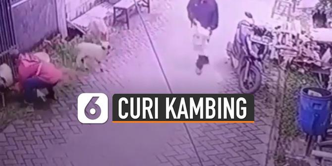 VIDEO: Rekaman CCTV Aksi Nekat Dua Pria Curi Kambing di Perumahan
