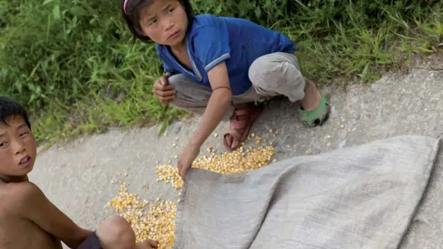 Potret Anak-anak di Korea Utara Mengambil Biji-bijian.