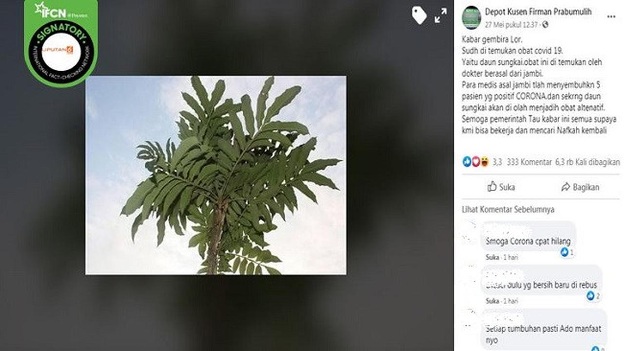 Gambar Tangkapan Layar Berita Tentang Virus Corona