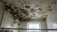 Cara Mengatasi Black Mold di Plafon Kamar Mandi, Aman dan Ampuh Tak Muncul Lagi