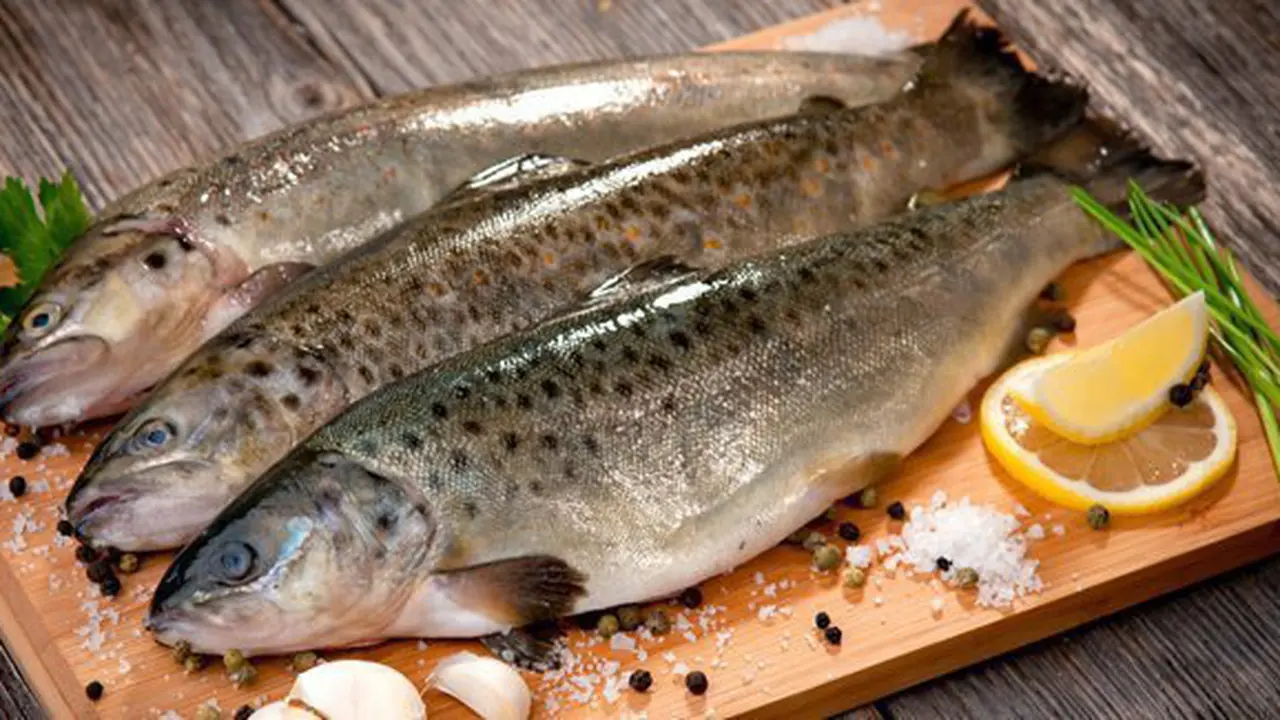 Ikan Bandeng/Copyright Shutterstock