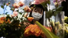 Penjual bunga Zhao Yuanyuan mengenakan masker mengatur bunga menjelang Hari Valentine di tokonya di Shanghai (12/2/2020). Wabah virus corona COVID-19 masih membayangi perayaan Hari Valentine di negara China. (AFP Photo/Noel Celis)