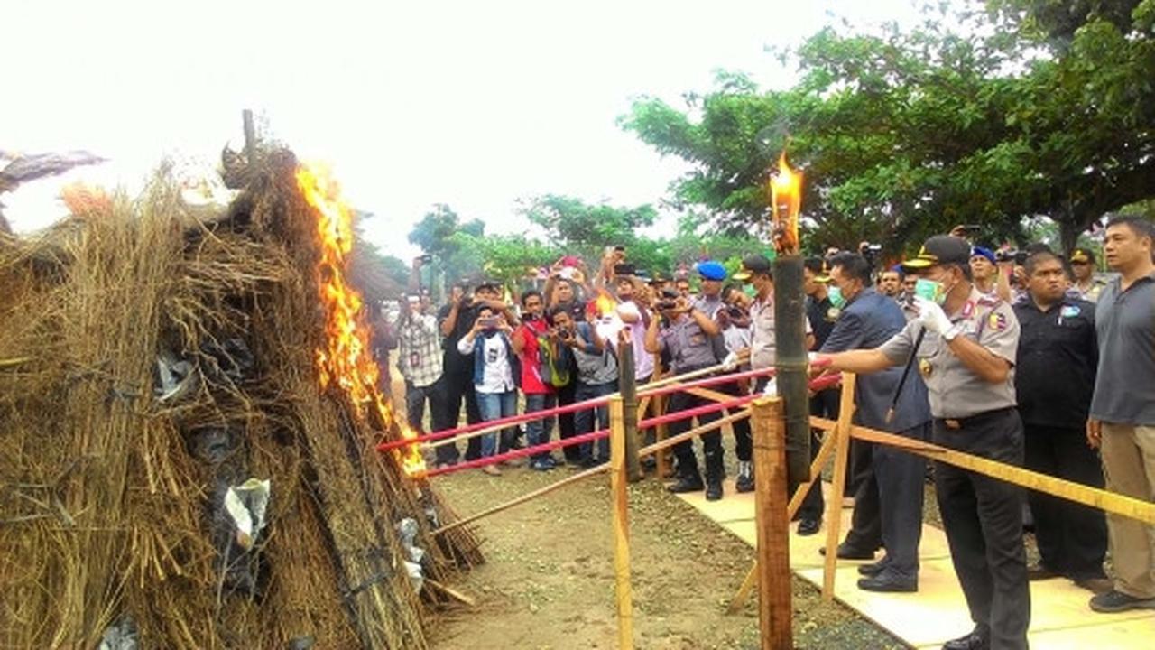 Kapolri pimpin pemusnahan 1,7 ton ganja di Aceh