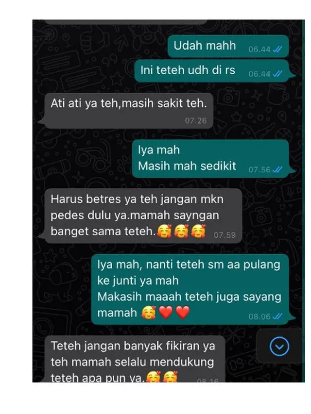 6 Chat Ibu Mertua dengan Mantunya Ini Bikin Senyum, Bak Anak Kandung Sendiri