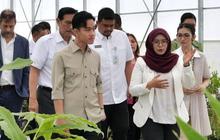 VIDEO: Momen Gibran Blusukan Ditemani Bobby & Kahiyang, Ketua DEN Luhut Pandjaitan Ikut Turun