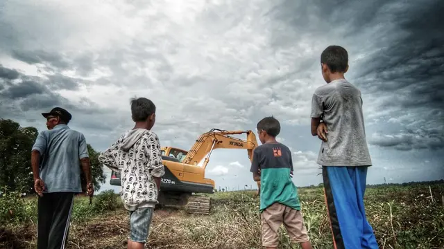 Program SERASI Ubah Rawa Jadi Lahan Produktif Mendapat Dukungan DPR