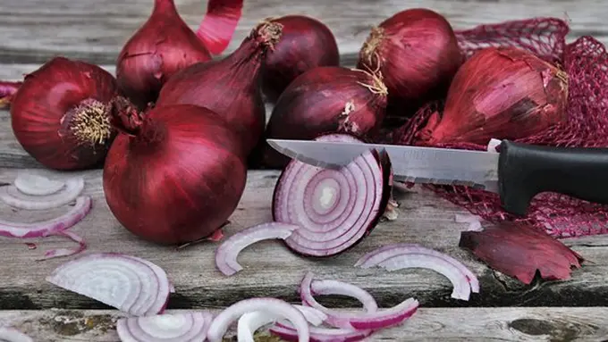 copyright pixabay.com/Pasja1000