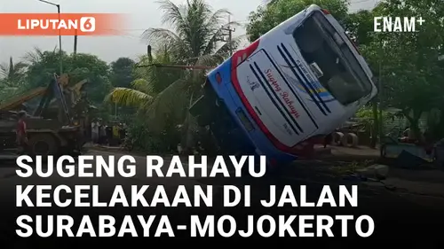 VIDEO: Bus Sugeng Rahayu Kecelakaan, 7 Orang Luka Berat