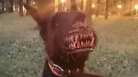 Topeng Anjing Mengerikan