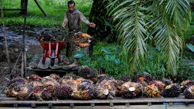 Satgas PKH Beri Penjelasan ke Petani Terkait Pemasangan Plang di Kebun Sawit