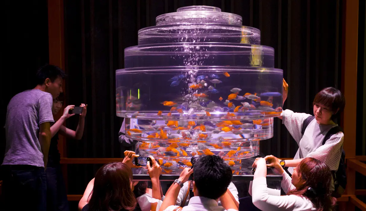 Sejumlah pengunjung saat melihat ikan emas di dalam akuarium saat Pameran Seni Akuarium di Tokyo, Jepang (10/7/2015). Pameran Seni Aquarium di Tokyo ini juga menjadi ajang fotografi bagi para pengunjung yang antusias. (REUTERS/Thomas Peter)