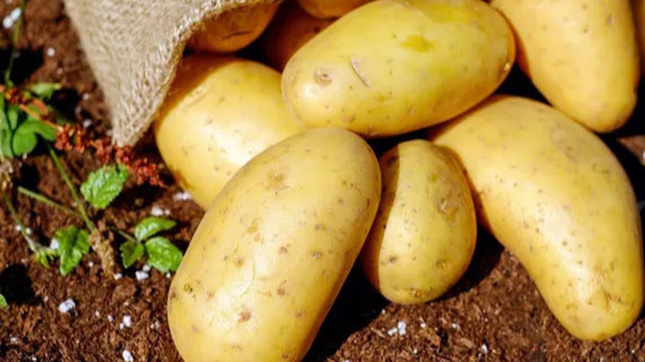 10 Makanan Penurun Darah Tinggi yang Wajib Dicoba, Mudah Didapat & Bikin Jantung Sehat