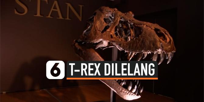 VIDEO: Kerangka T-Rex Terbesar di Dunia dilelang hari ini