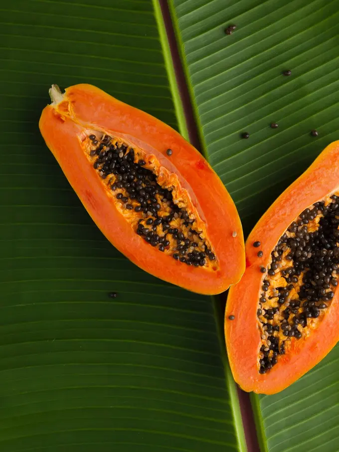 Pepaya