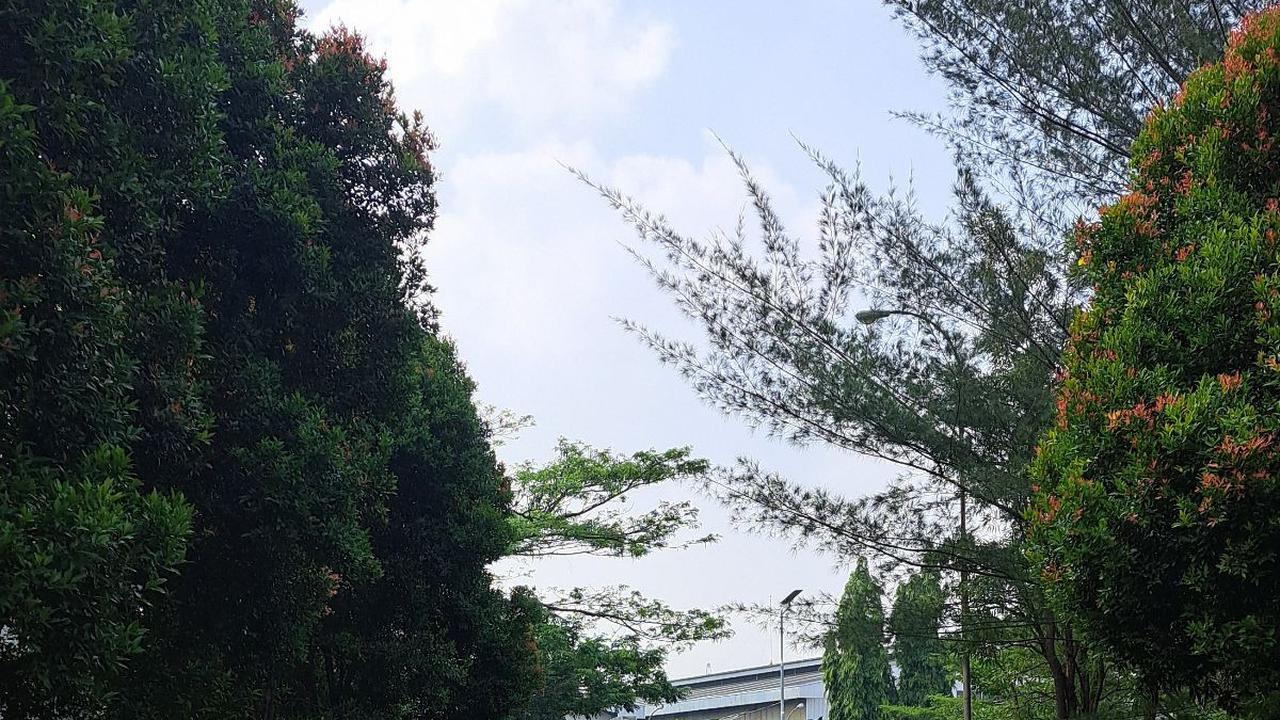 Melihat Perumahan Elite Terbengkalai di Cakung, Tidak Laku Diduga karena Harga Terlalu Mahal