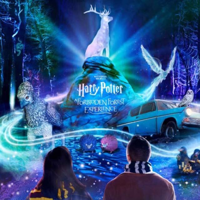 Wahana Harry Potter: A Forbidden Forest Experience di Singapura