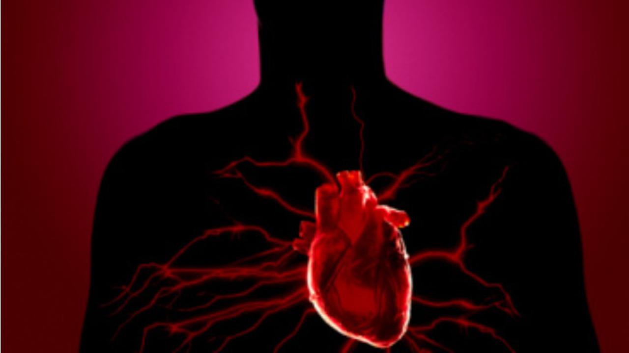 Ini Dia Penyebab Penyakit Jantung di usia Muda
