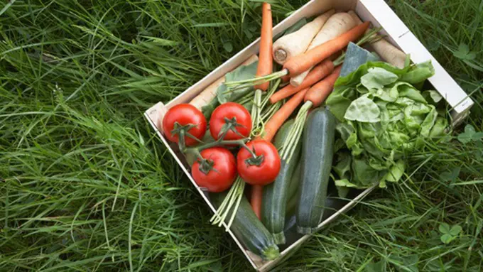 copyright by thinkstockphotos.com