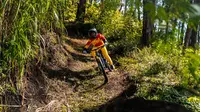 Puluhan Atlet Sepeda Gunung Taklukkan Panderman Gravity Park
